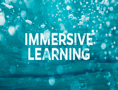 How Is Immersive Learning Changing Our Future?